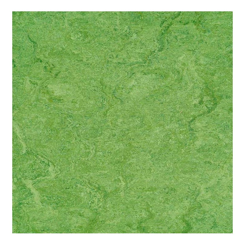 LINOLEUM LINOECO