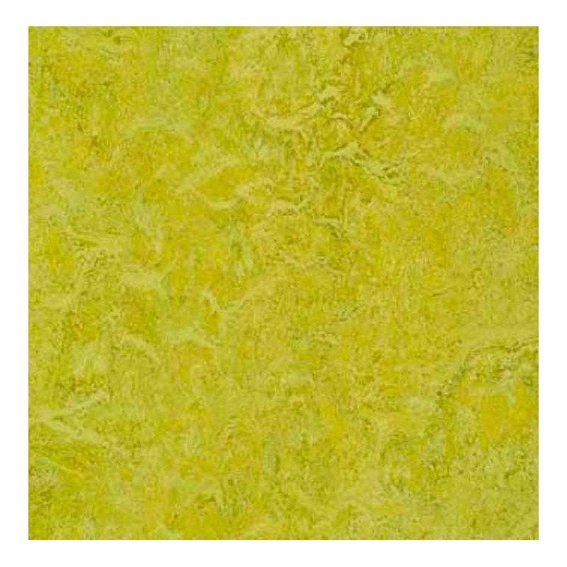 LINOLEUM LINOECO