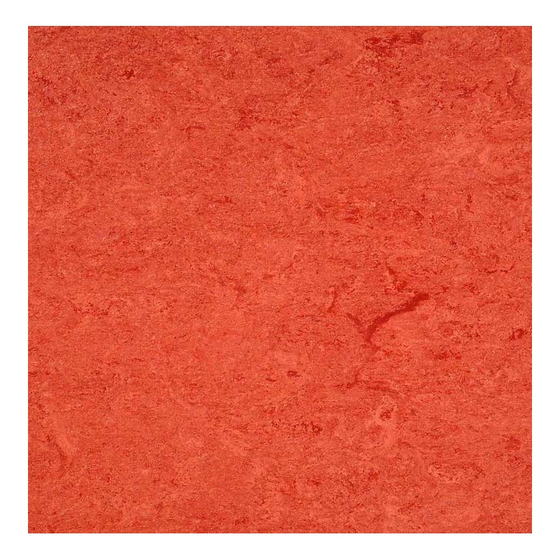 LINOLEUM LINOECO
